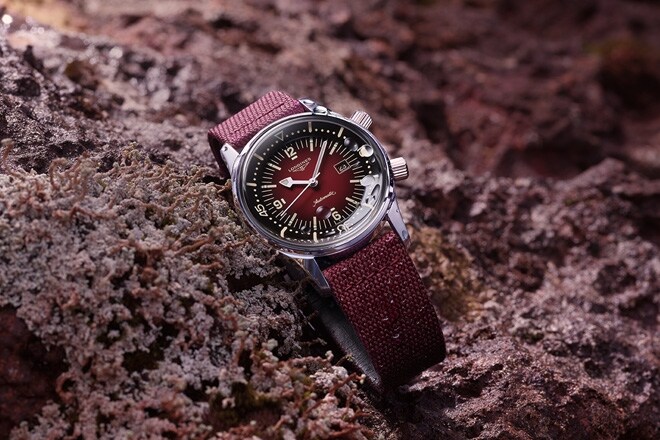 Legend diver 36 hotsell