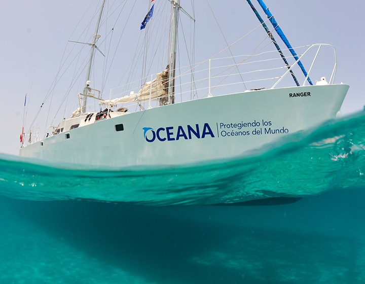 Oceana et Blancpain annoncent un partenariat exclusif